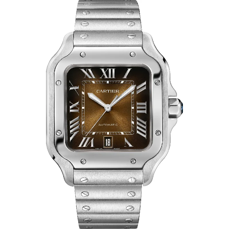 Santos de Cartier Watch CRWSSA0065