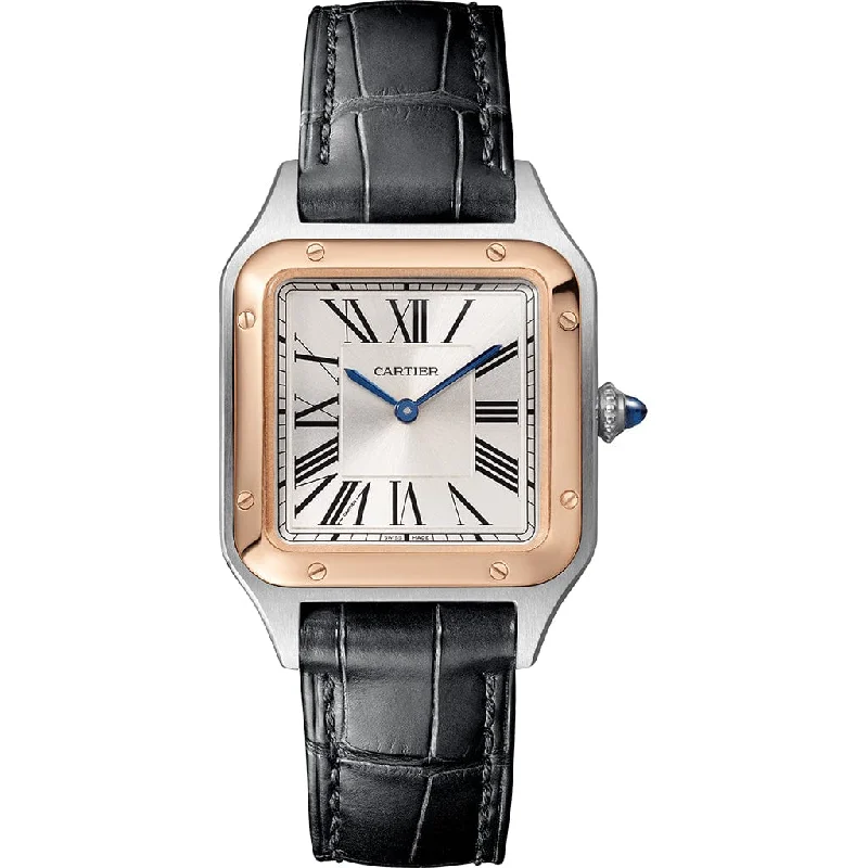 Santos-Dumont watch W2SA0012